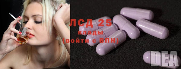 эйфоретик Алзамай